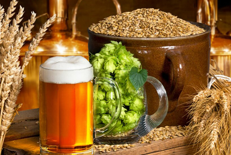 Come si sviluppa la birra della birra