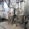 5BBL Beer Brewery Equipment Beer Birra commerciale conica Sus304/316 Serbatoi di fermentazione della birra per l'inizio