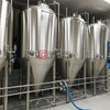 Sistema di produzione di birra a 3 recipienti / serbatoio per alimenti 10HL fabbrica di birra automatica chiavi in ​​mano elettrica o birrificio a vapore