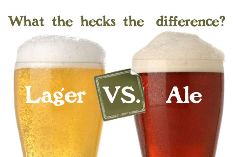 Qual è la differenza tra Ale e Lager?