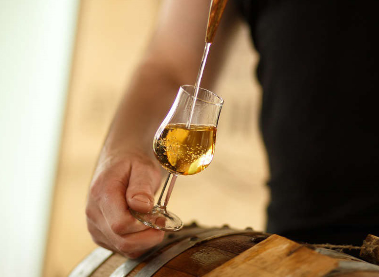 Brandy dal vino: come l'alcol è trasformato in brandy