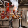Distiller Copper Gin/Rum/Whisky Distillery |DEGONG Produttore professionale