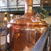 20HL 2 Vessel Copper Craft Brewery Equipment in vendita in Finlandia