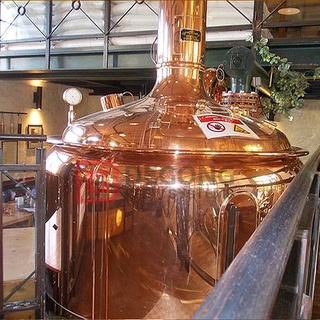 20HL 2 Vessel Copper Craft Brewery Equipment in vendita in Finlandia