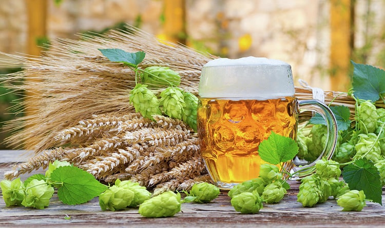 Durante il processo di fermentazione della birra, i problemi che possono essere incontrati