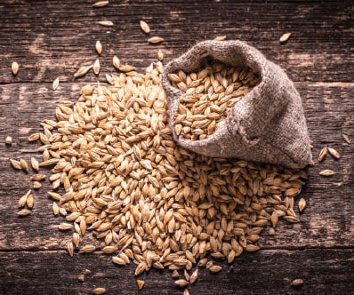 Come identificare il malto nel processo di birra della birra?