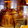 20BBL Red Copper Brewing System Equipment-DEGONG Brewhouse in vendita
