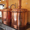 5BBL Micro fabbrica di birra in rame utilizzata in bar hotel |Acquista un sistema di produzione della birra