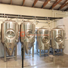 Da 500L-200HL Disponibili tutte le dimensioni dell'attrezzatura per la produzione di fermentatori Unitanks certificati europei