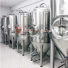 Serbatoio di fermentazione Sus304 a combinazione libera dell'attrezzatura del birrificio della birra da 500 litri in vendita