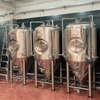Attrezzatura professionale per la produzione di birra automatica SUS 304/316 a risparmio energetico da 500 litri Made in China